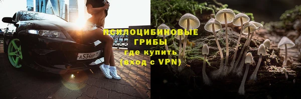 меф Арсеньев