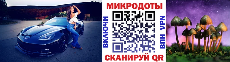 ссылка на мегу ONION  что такое наркотик  Пущино  Галлюциногенные грибы Cubensis 